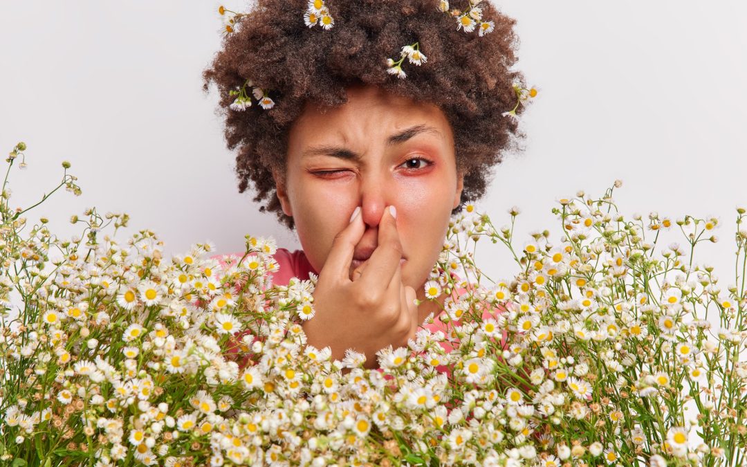 Scutellaria: Jouw Natuurlijke Adempauze tijdens Hooikoorts