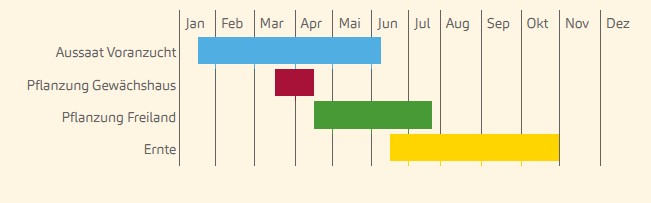 Bingenheimer Biologische Bleekselderij Tall Utah zaden - Afbeelding 2