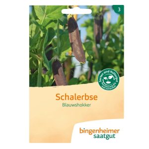 Bingenheimer erwten Blauwshokker zaden met paarse bloemen en peulen