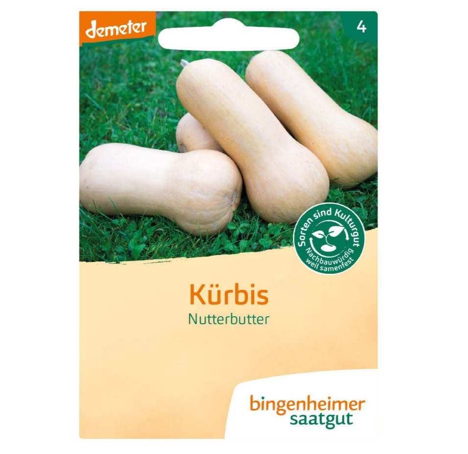 Bingenheimer flespompoen butternut Nutterbutter zaden Cucurbita moschata